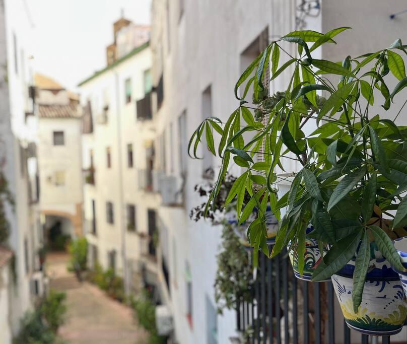 Apartamento Kenza Córdoba Exteriér fotografie