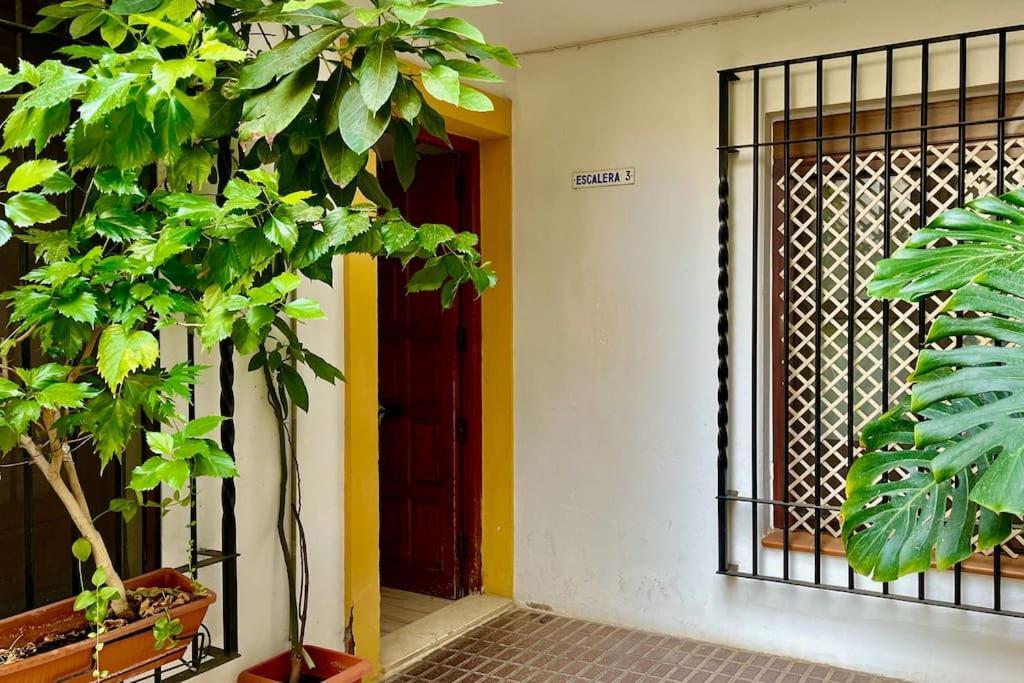 Apartamento Kenza Córdoba Exteriér fotografie